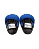 Blue Focus Pads